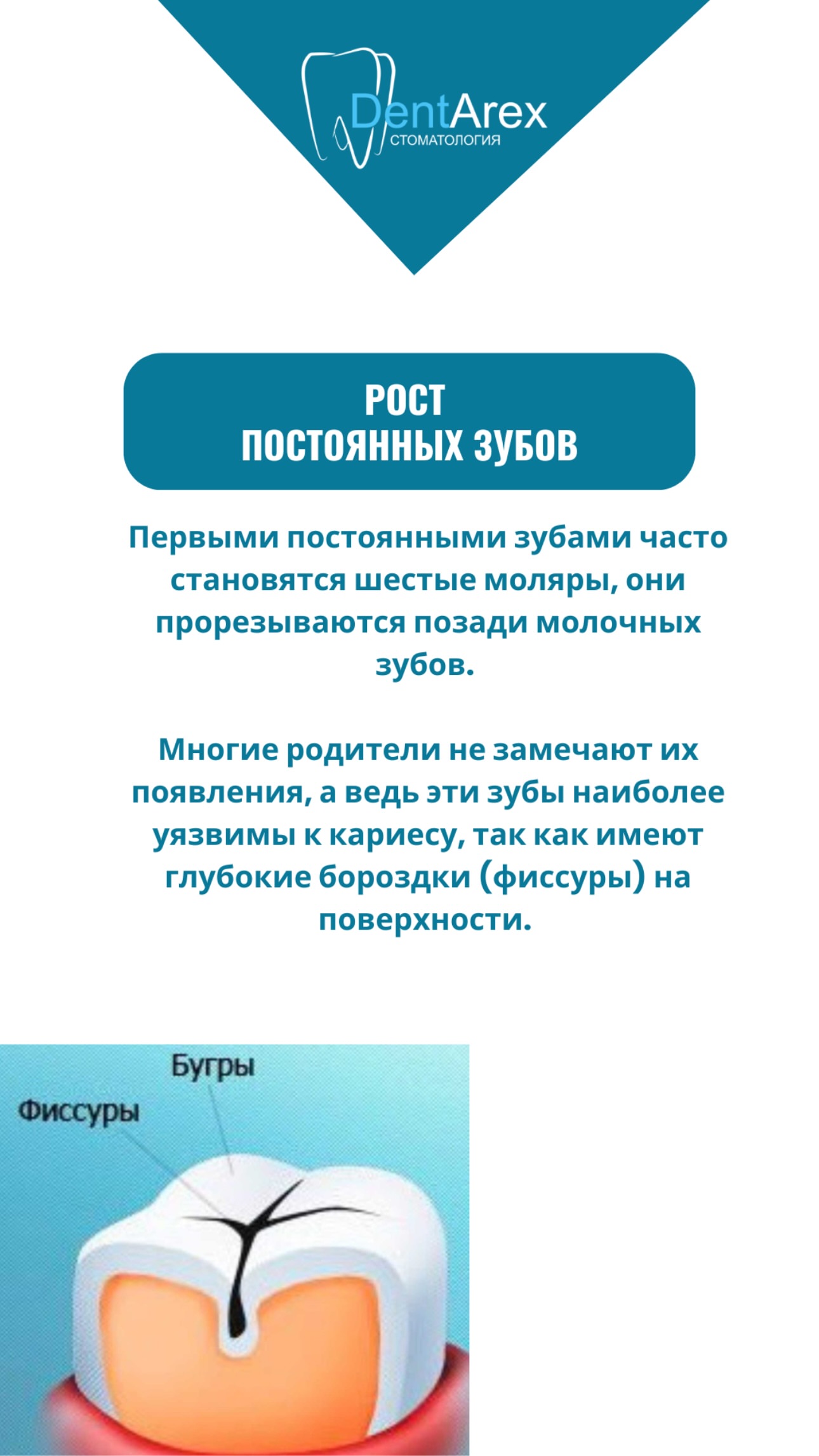 Полезная информация